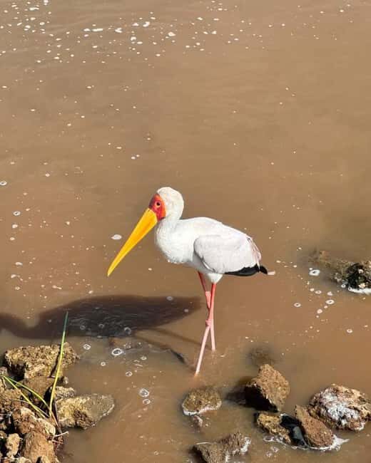 Nairobi: Lake Naivasha & Hell's Gate National Park Day Trip - FAQs