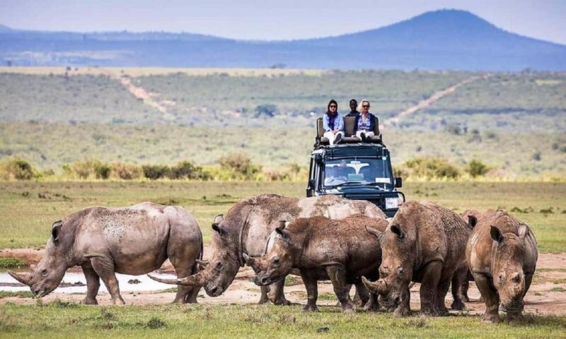 Nairobi: Lake Nakuru National Park - An In-Depth Look at the Lake Nakuru National Park Tour