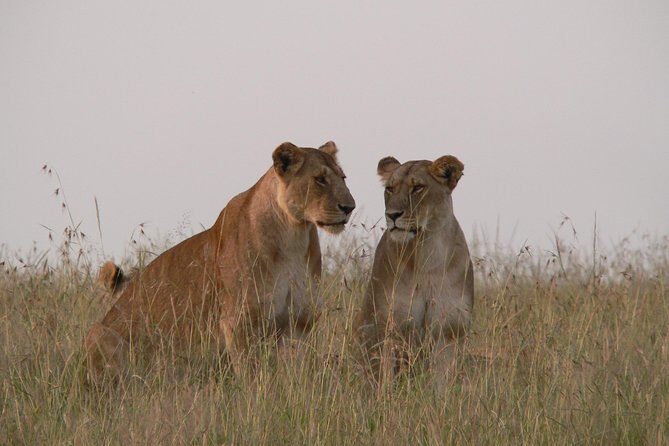 Nairobi layover - What’s Included and What’s Not