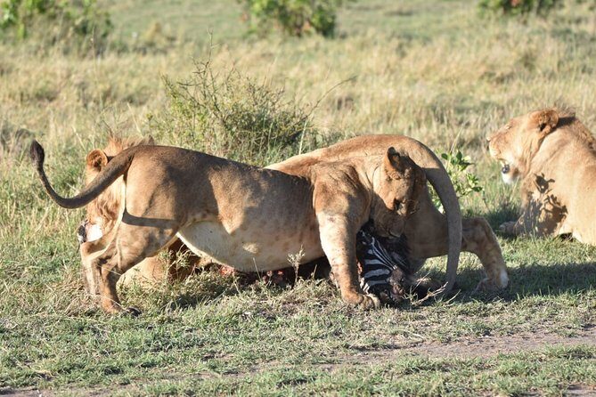 Nairobi layover - Guides: The Heart of the Experience