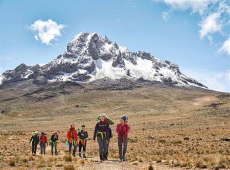 Nairobi: Mount Kenya Day Hike with Lunch - An In-Depth Look at the Mount Kenya Day Hike