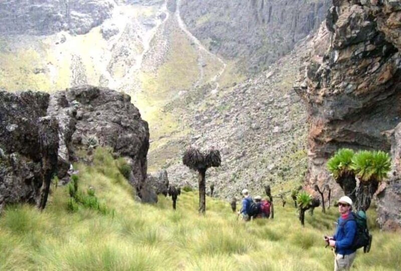 Nairobi: Mount Kenya Day Hike with Lunch - Final Thoughts