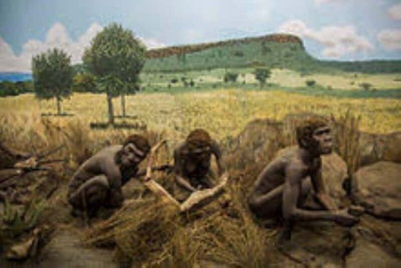 Nairobi: Museum, Memorial Park, and City Center Tour - What’s Included and What’s Not