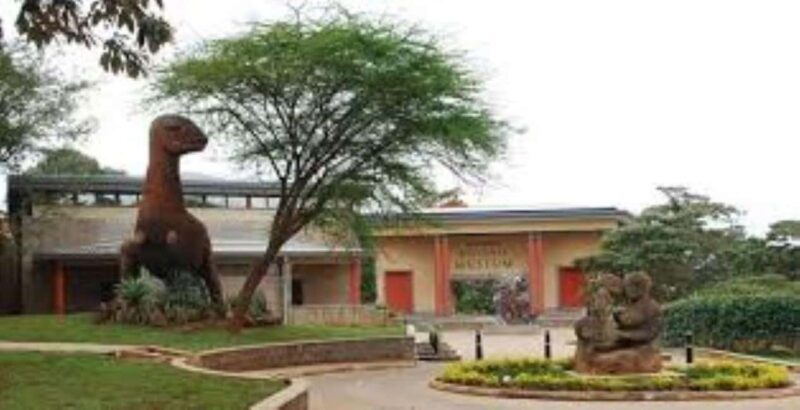 Nairobi: Museum, Memorial Park, and City Center Tour - Final Word