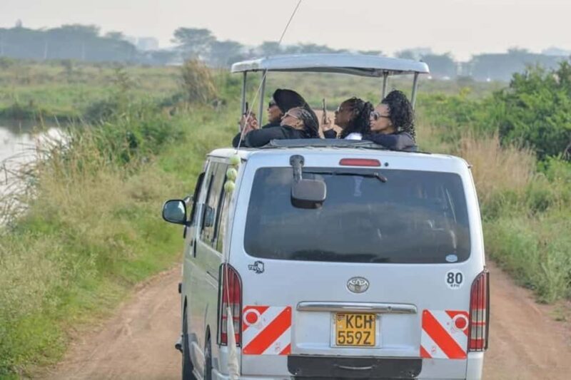 Nairobi: Nairobi National Park Half-Day Game Drive - The Practicalities: Cost, Duration, and Comfort