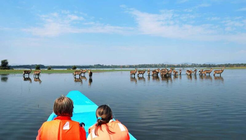 Nairobi: Nakuru National Park and Lake Naivasha Day Tour - The Experience from Travelers’ Perspectives