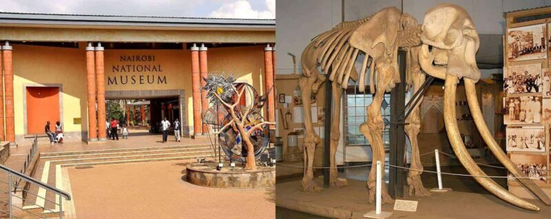 Nairobi National Museum and Snake Park Guided Day Tour - An In-Depth Look at the Experience