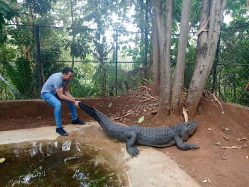 Nairobi: National Museum Giraffe Center and Bomas of Kenya - Key Points