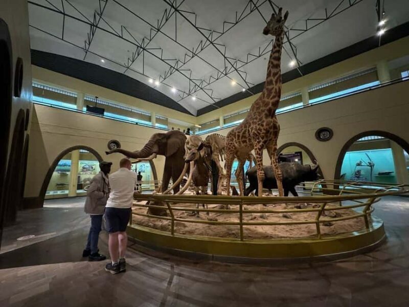 Nairobi: National Museum Giraffe Center and Bomas of Kenya - Cultural Showcase at Bomas of Kenya