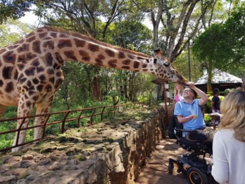 Nairobi: National Museum Giraffe Center and Bomas of Kenya - Authentic Experiences That Matter