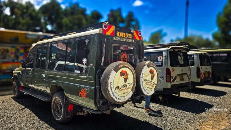 Nairobi National Park 5-hour Guided Game Drive Free Pick Up - Final Thoughts