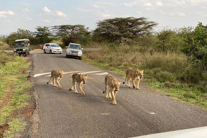 Nairobi national park and Giraffe center - Considerations and Tips