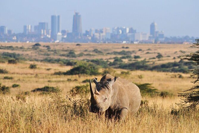 Nairobi National Park and Giraffe Center Day Tour - FAQ Section