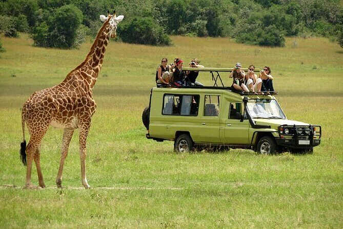 Nairobi: National park, baby Elephant, Giraffe center - What to Expect from the Tour