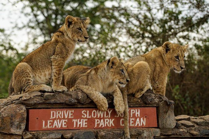 Nairobi National Park, Baby Elephant Orphanage and Giraffe Center - The Transport and Overall Experience
