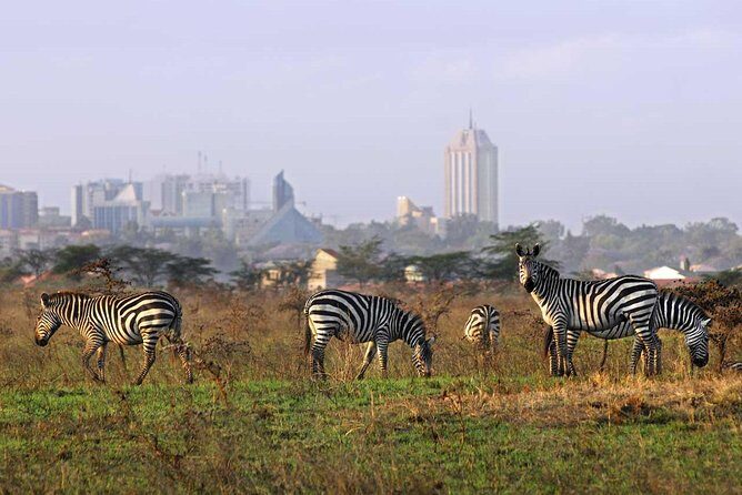 Nairobi National Park, Baby Elephant Orphanage and Giraffe Center - FAQs