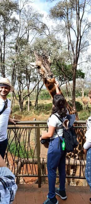 Nairobi: National Park, Elephant Orphanage, and Giraffe Tour - The Sum Up