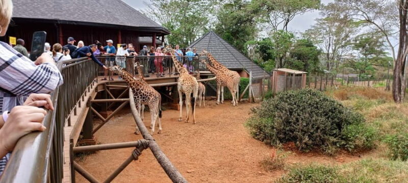 Nairobi: National Park, Elephant Orphanage, and Giraffe Tour - FAQ