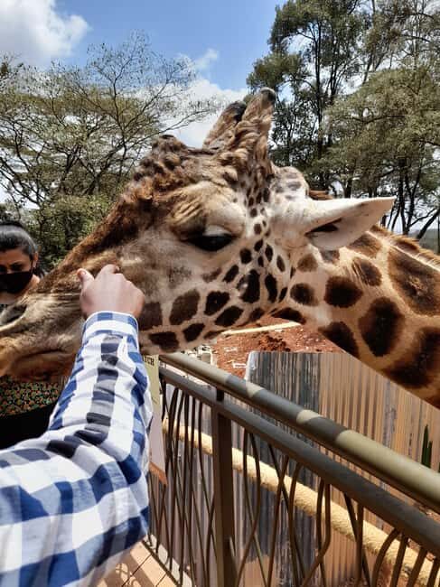 Nairobi: National Park, Elephant Orphanage, and Giraffe Tour - Key Points