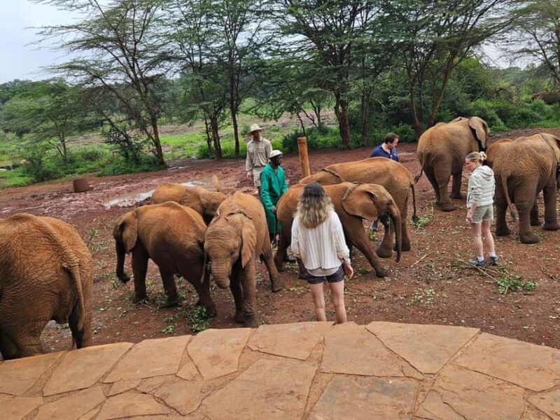 Nairobi: National Park, Elephant Orphanage & Giraffe Center - Kobe Beads Factory: Supporting Local Women and Crafts