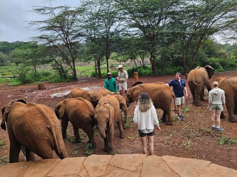 Nairobi: National Park, Elephant Orphanage & Giraffe Center - Practical Details & Tips