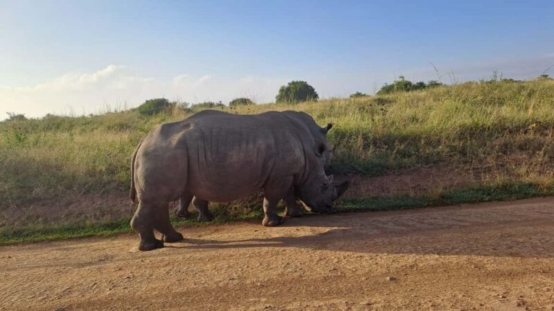 Nairobi National Park, Elephant Santuary & Giraffe center. - FAQ