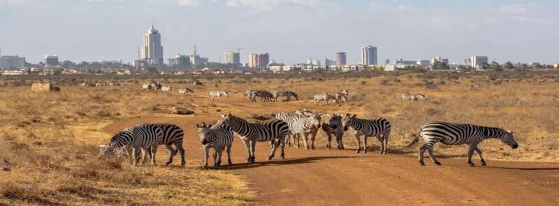 Nairobi National Park Evening Game Drive With free Pick Up - FAQ