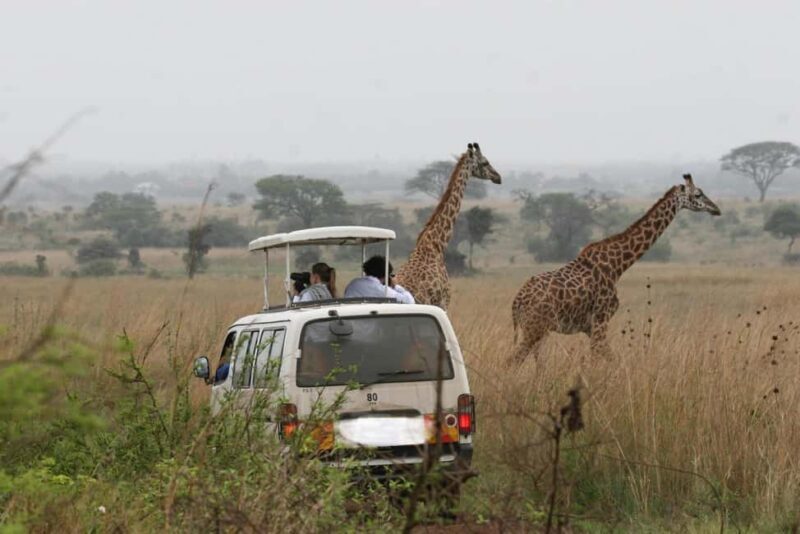 Nairobi: National Park Game Drive and Beads Center Tour - Key Points