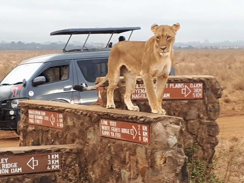 Nairobi: National Park Game Drive and Beads Center Tour - FAQ