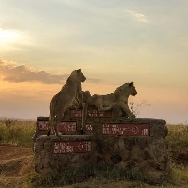 Nairobi national park game drive - Key Points