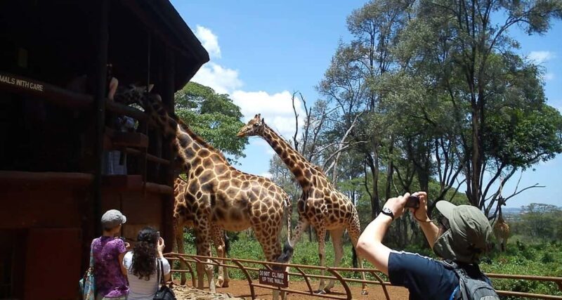 Nairobi National Park, Giraffe, Carnivore Lunch and Bomas - Lunch at Carnivore: A Meal to Remember