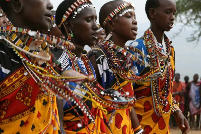 Nairobi National Park, Giraffe, Carnivore Lunch and Bomas - Who Should Consider This Tour?