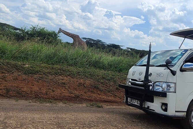Nairobi National Park Half Day Tour - Final Thoughts