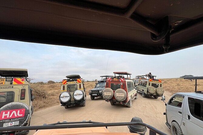 Nairobi National Park Half Day with Pickup - Final Thoughts: Is This Tour Right for You?
