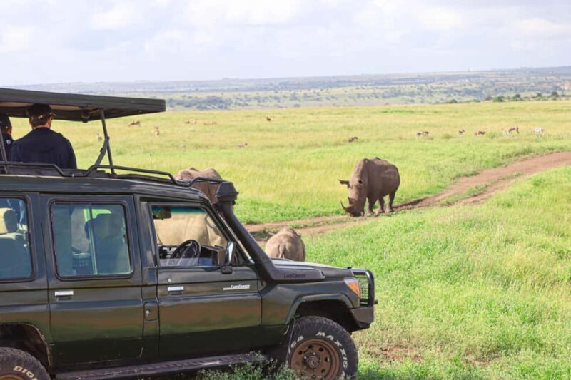 Nairobi National Park: Layover Tour in a 4X4 Safari Vehicle - Key Points