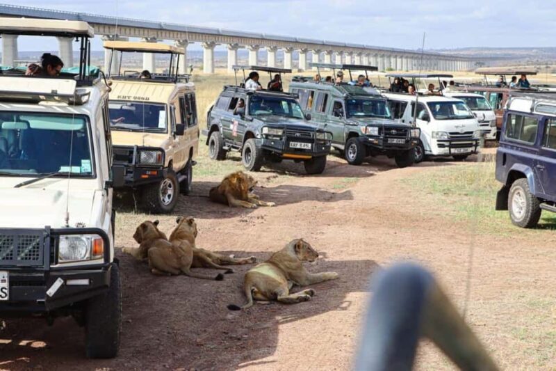 Nairobi National Park Morning or Evening Game Drive - Key Points