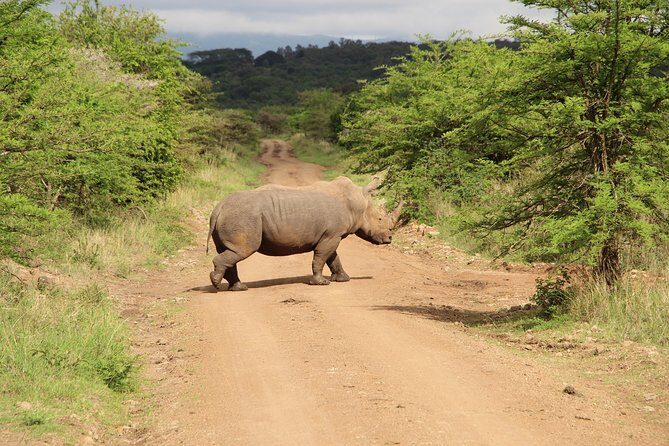 Nairobi National Park Private Safari - What Makes This Tour Valuable
