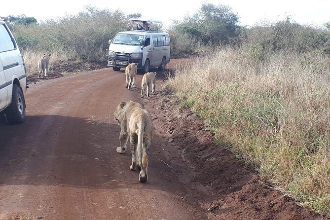 Nairobi National Park, Sheldrick Elephant, Giraffe Centre Tour - Exploring the Full-Day Nairobi Tour