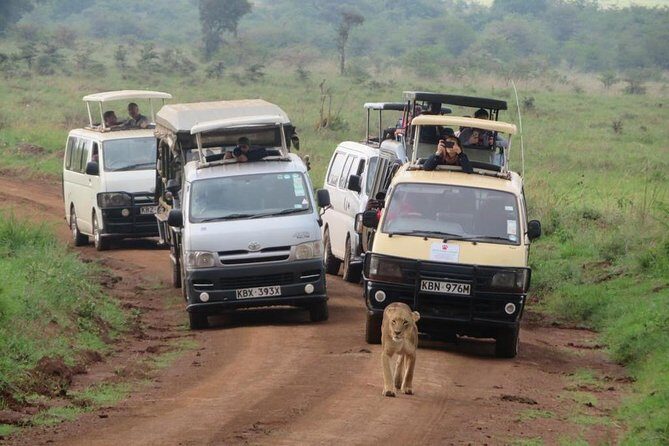Nairobi National Park, Sheldrick Elephant, Giraffe Centre Tour - Who Should Book This Tour?