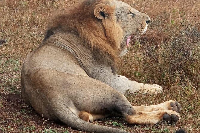 Nairobi National Park, Sheldrick Elephant, Giraffe Centre Tour - FAQs