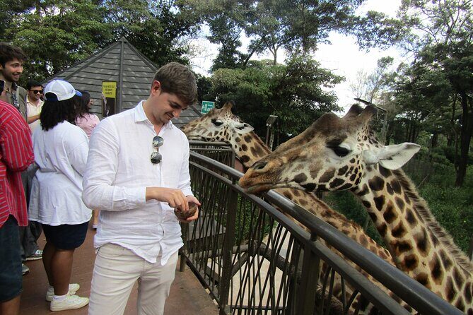 Nairobi National Park Sheldrick & Giraffe Centre Day Trip - Is This Tour Worth It?