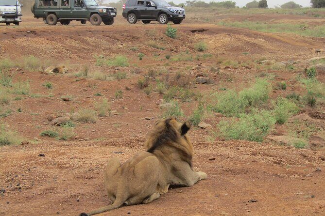 Nairobi National Park Sheldrick & Giraffe Centre Day Trip - Frequently Asked Questions