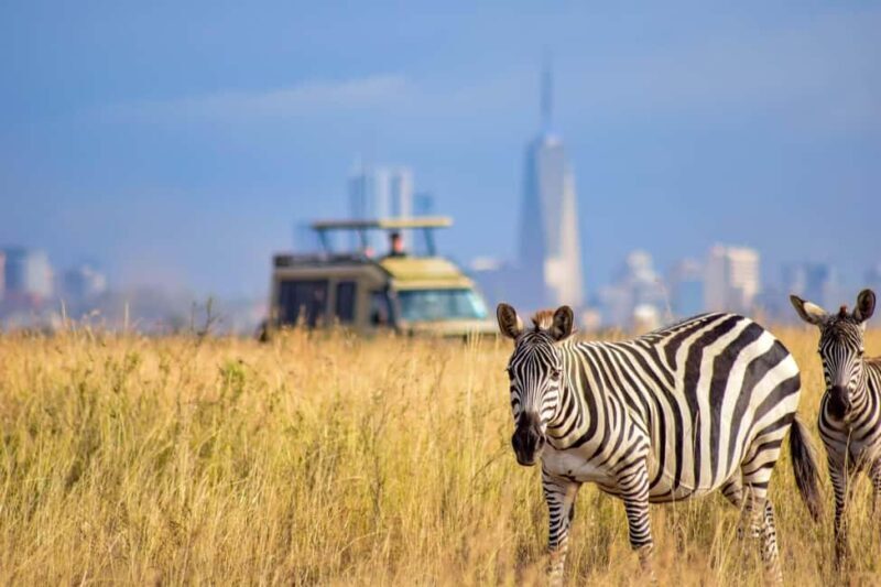 Nairobi National Park Sunrise or Sunset Game Drive Options - Key Points