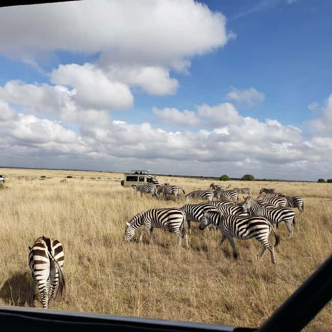 Nairobi National Park Sunrise or Sunset Game Drive Options - The Itinerary and What You Can Expect