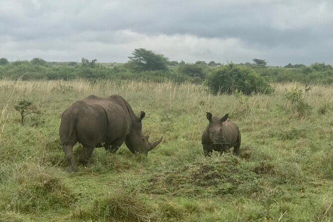 Nairobi National Park Tour - Final Thoughts