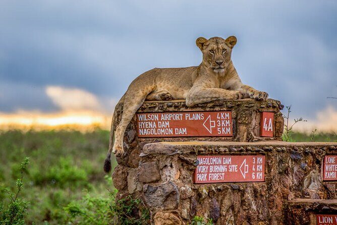 Nairobi National Park Tour - FAQ