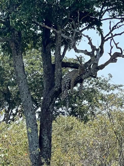 Nairobi National Park: Tour "World's Only Wildlife Capital" - FAQ