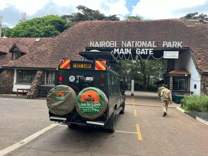 Nairobi National Park: with an open pop roof jeep - What to Expect on the Tour