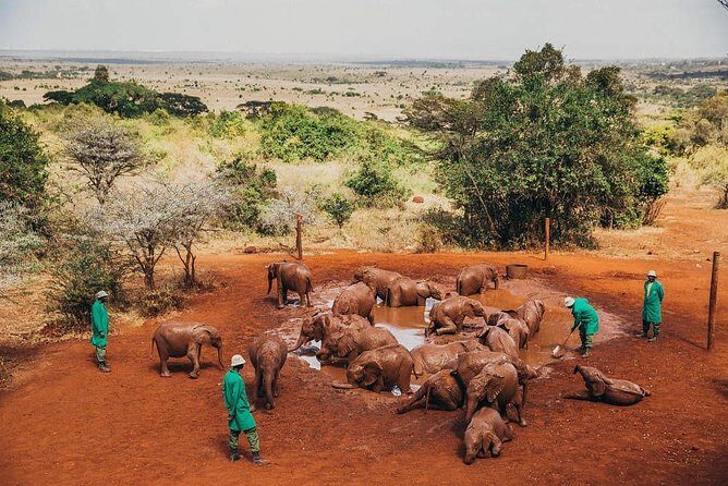 Nairobi National Park,Elephant Orphanage, Giraffe Center and Karen Blixen Museum - Karen Blixen Museum: A Step Back in Time
