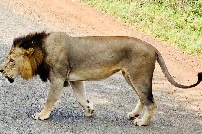 Nairobi National Park,Giraffe Centre, Karen Blixen Museum. - FAQ